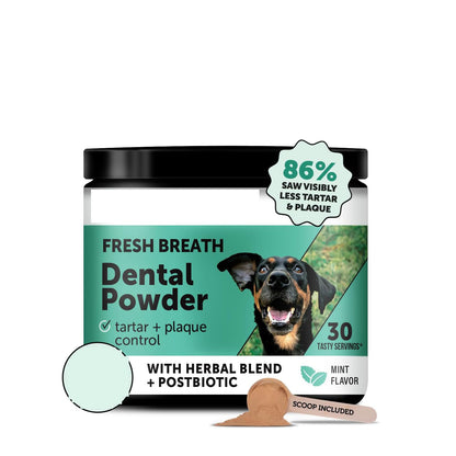 Teeth Cleaning Mouth Fresh Powder