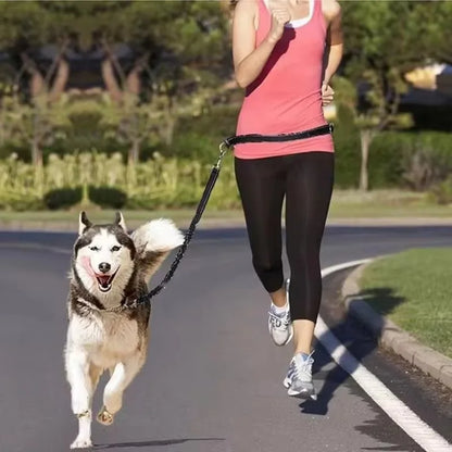 Hand Free Dog Leash