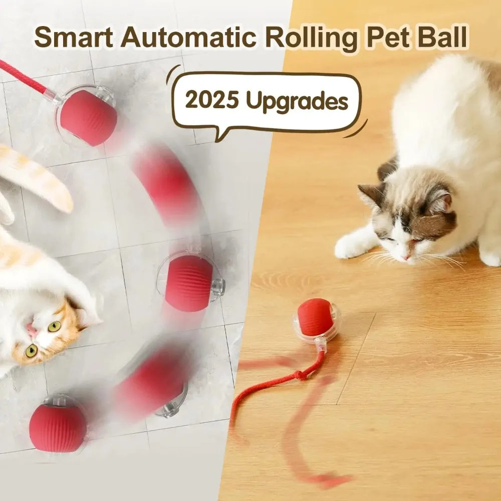 Auto Ball