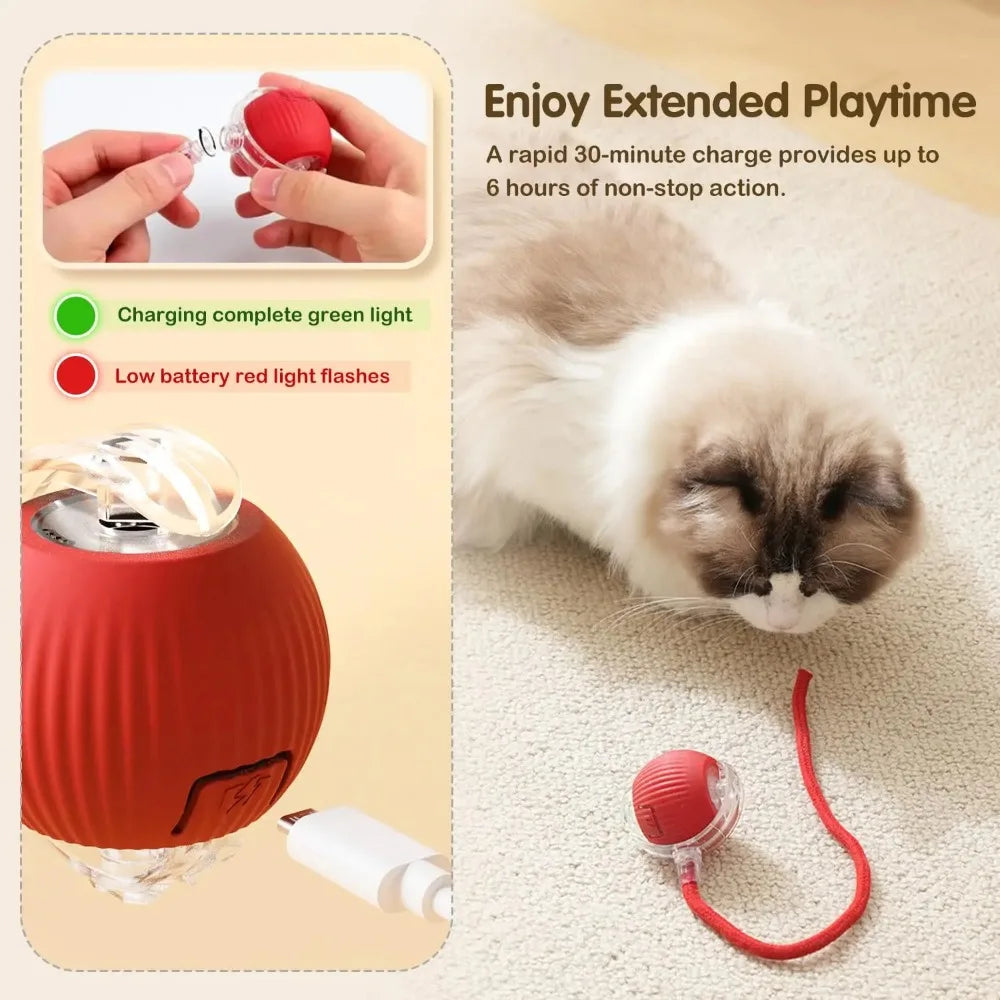 Auto Ball