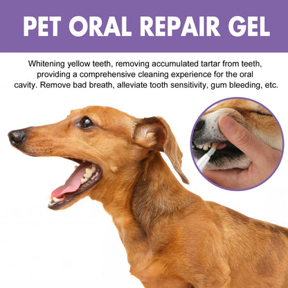 Pet Oral Tartar Removal
