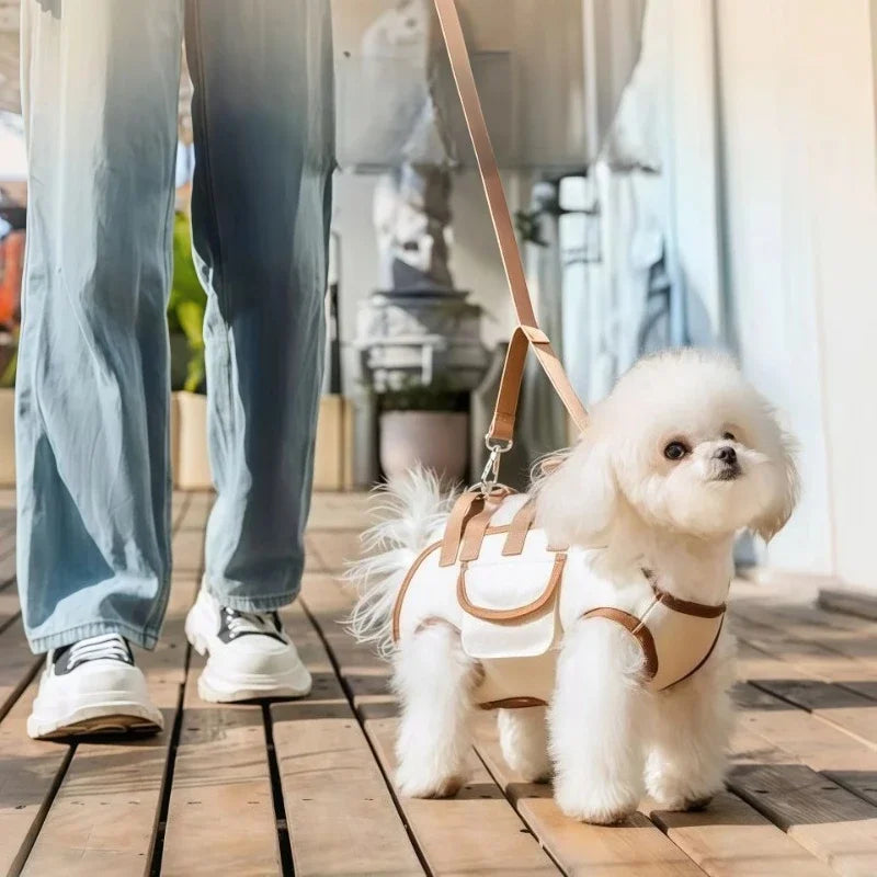 Dog Carrier + Leash