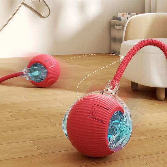 Auto Ball