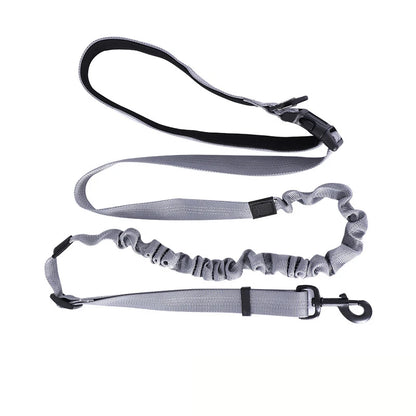 Hand Free Dog Leash