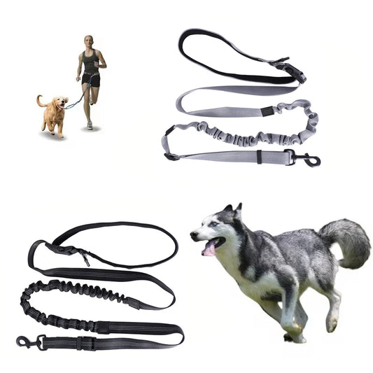 Hand Free Dog Leash