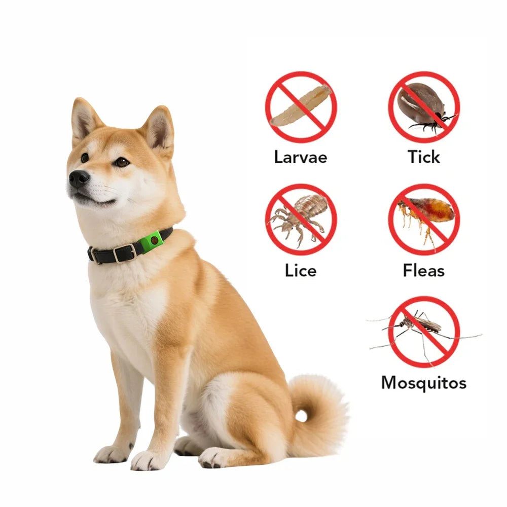 Flea & Tick Collar