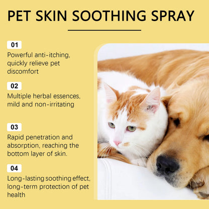 Skin Care Spray