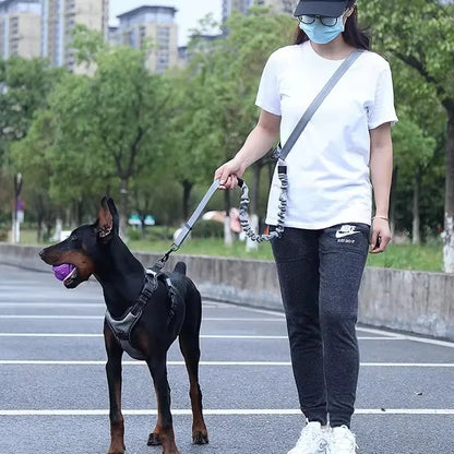 Hand Free Dog Leash