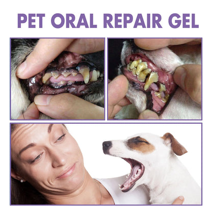 Pet Oral Tartar Removal