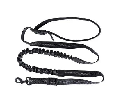 Hand Free Dog Leash