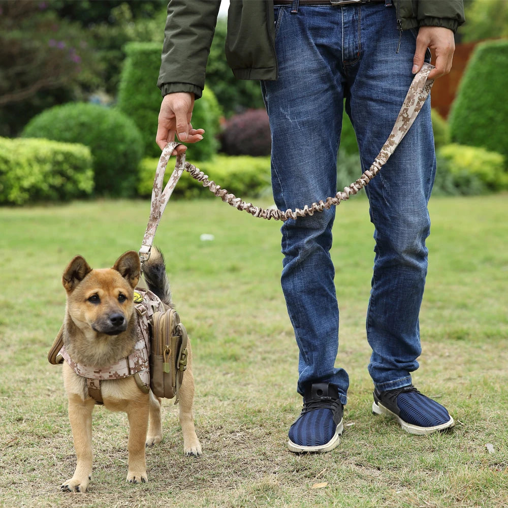 Elastic Dog Leash