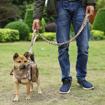 Elastic Dog Leash